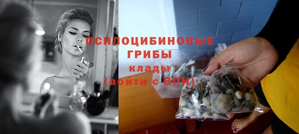 гидропоника Белокуриха